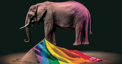 GOP elephant rainbow flag
